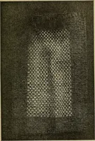 An illustration from Things worth doing and how to do them (1906)