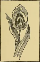 An illustration from Things worth doing and how to do them (1906)