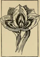 An illustration from Things worth doing and how to do them (1906)