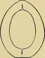 An illustration from Things worth doing and how to do them (1906)