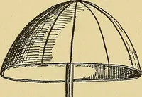 An illustration from Things worth doing and how to do them (1906)