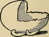 An illustration from Things worth doing and how to do them (1906)
