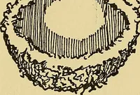 An illustration from Things worth doing and how to do them (1906)