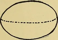 An illustration from Things worth doing and how to do them (1906)