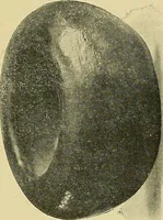 An illustration from Things worth doing and how to do them (1906)