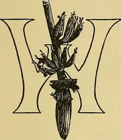 An illustration from Things worth doing and how to do them (1906)