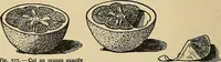 An illustration from Things worth doing and how to do them (1906)
