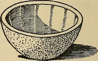 An illustration from Things worth doing and how to do them (1906)