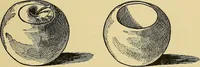 An illustration from Things worth doing and how to do them (1906)