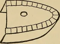An illustration from Things worth doing and how to do them (1906)