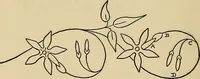 An illustration from Things worth doing and how to do them (1906)