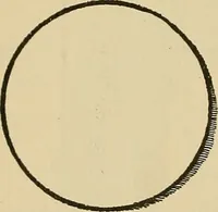 An illustration from Things worth doing and how to do them (1906)