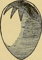 An illustration from Things worth doing and how to do them (1906)