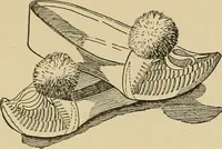 An illustration from Things worth doing and how to do them (1906)