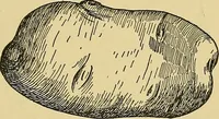 An illustration from Things worth doing and how to do them (1906)
