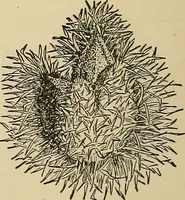 An illustration from Things worth doing and how to do them (1906)