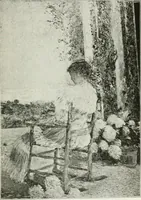 An illustration from The third annual exhibition held at the Carnegie Institute, November third, eighteen hundred and ninety-eight, till January first, eighteen hundred and ninety-nine (1898)