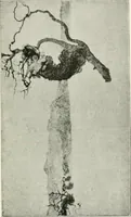 An illustration from The third annual exhibition held at the Carnegie Institute, November third, eighteen hundred and ninety-eight, till January first, eighteen hundred and ninety-nine (1898)