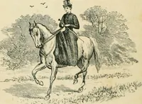 An illustration from Thirty original sketches for fancy costumes : specially drawn, from our suggestions, by R. L. Bööcke (1894)