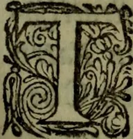 An illustration from Thomae Bartholini De armillis veterum schedion : accessit Olai Wormii De aureo cornu Danico ad Licetum responsio (1676)