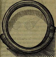 An illustration from Thomae Bartholini De armillis veterum schedion : accessit Olai Wormii De aureo cornu Danico ad Licetum responsio (1676)