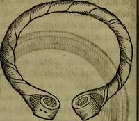 An illustration from Thomae Bartholini De armillis veterum schedion : accessit Olai Wormii De aureo cornu Danico ad Licetum responsio (1676)