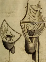 Picture 22 of 147 from Thomae Bartholini Archiatri Danici, Anatome quartum renovata : non tantum ex Institutionibus b.m. parentis, Caspari Bartholini, sed etiam ex omnium cùm veterum, tum recentiorum observationibus, ad circulationem Harveianam, & vasa lymphatica directis : cum iconibus novis et indicibus (1684), leaf 130