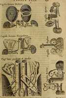 Picture 44 of 147 from Thomae Bartholini Archiatri Danici, Anatome quartum renovata : non tantum ex Institutionibus b.m. parentis, Caspari Bartholini, sed etiam ex omnium cùm veterum, tum recentiorum observationibus, ad circulationem Harveianam, & vasa lymphatica directis : cum iconibus novis et indicibus (1684), leaf 232