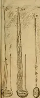 Picture 47 of 147 from Thomae Bartholini Archiatri Danici, Anatome quartum renovata : non tantum ex Institutionibus b.m. parentis, Caspari Bartholini, sed etiam ex omnium cùm veterum, tum recentiorum observationibus, ad circulationem Harveianam, & vasa lymphatica directis : cum iconibus novis et indicibus (1684), leaf 248