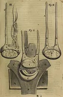 An illustration from Thomae Bartholini Archiatri Danici, Anatome quartum renovata : non tantum ex Institutionibus b.m. parentis, Caspari Bartholini, sed etiam ex omnium cùm veterum, tum recentiorum observationibus, ad circulationem Harveianam, & vasa lymphatica directis : cum iconibus novis et indicibus (1684)