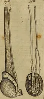 Picture 49 of 147 from Thomae Bartholini Archiatri Danici, Anatome quartum renovata : non tantum ex Institutionibus b.m. parentis, Caspari Bartholini, sed etiam ex omnium cùm veterum, tum recentiorum observationibus, ad circulationem Harveianam, & vasa lymphatica directis : cum iconibus novis et indicibus (1684), leaf 260