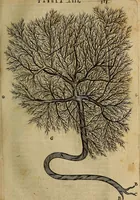 Picture 67 of 147 from Thomae Bartholini Archiatri Danici, Anatome quartum renovata : non tantum ex Institutionibus b.m. parentis, Caspari Bartholini, sed etiam ex omnium cùm veterum, tum recentiorum observationibus, ad circulationem Harveianam, & vasa lymphatica directis : cum iconibus novis et indicibus (1684), leaf 358