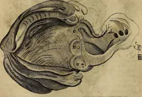 An illustration from Thomae Bartholini Archiatri Danici, Anatome quartum renovata : non tantum ex Institutionibus b.m. parentis, Caspari Bartholini, sed etiam ex omnium cùm veterum, tum recentiorum observationibus, ad circulationem Harveianam, & vasa lymphatica directis : cum iconibus novis et indicibus (1684)