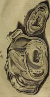 An illustration from Thomae Bartholini Archiatri Danici, Anatome quartum renovata : non tantum ex Institutionibus b.m. parentis, Caspari Bartholini, sed etiam ex omnium cùm veterum, tum recentiorum observationibus, ad circulationem Harveianam, & vasa lymphatica directis : cum iconibus novis et indicibus (1684)