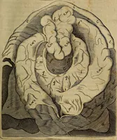 Picture 100 of 147 from Thomae Bartholini Archiatri Danici, Anatome quartum renovata : non tantum ex Institutionibus b.m. parentis, Caspari Bartholini, sed etiam ex omnium cùm veterum, tum recentiorum observationibus, ad circulationem Harveianam, & vasa lymphatica directis : cum iconibus novis et indicibus (1684), leaf 542