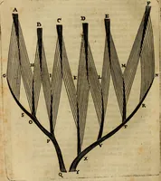 Picture 110 of 147 from Thomae Bartholini Archiatri Danici, Anatome quartum renovata : non tantum ex Institutionibus b.m. parentis, Caspari Bartholini, sed etiam ex omnium cùm veterum, tum recentiorum observationibus, ad circulationem Harveianam, & vasa lymphatica directis : cum iconibus novis et indicibus (1684), leaf 607