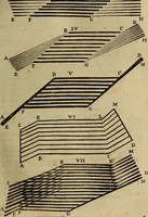 An illustration from Thomae Bartholini Archiatri Danici, Anatome quartum renovata : non tantum ex Institutionibus b.m. parentis, Caspari Bartholini, sed etiam ex omnium cùm veterum, tum recentiorum observationibus, ad circulationem Harveianam, & vasa lymphatica directis : cum iconibus novis et indicibus (1684)