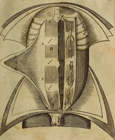 Picture 14 of 147 from Thomae Bartholini Archiatri Danici, Anatome quartum renovata : non tantum ex Institutionibus b.m. parentis, Caspari Bartholini, sed etiam ex omnium cùm veterum, tum recentiorum observationibus, ad circulationem Harveianam, & vasa lymphatica directis : cum iconibus novis et indicibus (1684), leaf 88