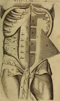 Picture 15 of 147 from Thomae Bartholini Archiatri Danici, Anatome quartum renovata : non tantum ex Institutionibus b.m. parentis, Caspari Bartholini, sed etiam ex omnium cùm veterum, tum recentiorum observationibus, ad circulationem Harveianam, & vasa lymphatica directis : cum iconibus novis et indicibus (1684), leaf 90
