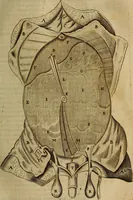 An illustration from Thomae Bartholini Archiatri Danici, Anatome quartum renovata : non tantum ex Institutionibus b.m. parentis, Caspari Bartholini, sed etiam ex omnium cùm veterum, tum recentiorum observationibus, ad circulationem Harveianam, & vasa lymphatica directis : cum iconibus novis et indicibus (1684)