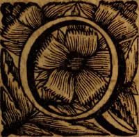 An illustration from Thomae Sydenham ... Praxis medica experimentalis: sive Opuscula universa, quotquot hactenus ab autore ipso ultimùm revisa & aucta in lucem prodierunt (1695)