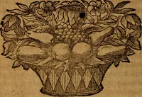 An illustration from Thomae Sydenham ... Praxis medica experimentalis: sive Opuscula universa, quotquot hactenus ab autore ipso ultimùm revisa & aucta in lucem prodierunt (1695)