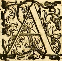 Picture 19 of 74 from Thomae Willis ... Opera omnia, nitidius quàm vnquam hactenus edita, plurimùm emendata, indice rerum copiosissimo, ac distinctione characterum exornata (1694), leaf 122
