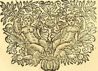 An illustration from Thomae Willis ... Opera omnia, nitidius quàm vnquam hactenus edita, plurimùm emendata, indice rerum copiosissimo, ac distinctione characterum exornata (1694)