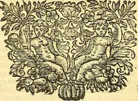 An illustration from Thomae Willis ... Opera omnia, nitidius quàm vnquam hactenus edita, plurimùm emendata, indice rerum copiosissimo, ac distinctione characterum exornata (1694)