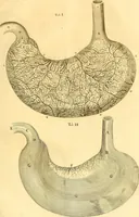 An illustration from Thomae Willis ... Opera omnia, nitidius quàm vnquam hactenus edita, plurimùm emendata, indice rerum copiosissimo, ac distinctione characterum exornata (1694)