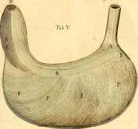 An illustration from Thomae Willis ... Opera omnia, nitidius quàm vnquam hactenus edita, plurimùm emendata, indice rerum copiosissimo, ac distinctione characterum exornata (1694)