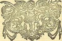 Picture 73 of 74 from Thomae Willis ... Opera omnia, nitidius quàm vnquam hactenus edita, plurimùm emendata, indice rerum copiosissimo, ac distinctione characterum exornata (1694), leaf 619