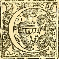An illustration from Thomae Willis ... Opera omnia, nitidius quàm vnquam hactenus edita, plurimùm emendata, indice rerum copiosissimo, ac distinctione characterum exornata (1694)