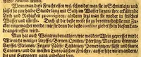 An illustration from Thomas Gage Neue merckwürdige Reise-Beschreibung nach Neü Spanien, : was ihm daselbst seltsames begegnet, und wie er durch die Provintz Nicaragua wider zurück nach der Havana gekehret: in welcher zu finden ist ein ausführlicher Bericht von der Stadt Mexico, wie selbte so wol vor alters gewesen, als auch wie sie ietzo beschaffen sey: ingleichen eine vollkommene Beschreibung aller Länder und Provinzen, welche die Spanier in gantz America besitzen; von ihrem Kirchen- und Policey-Regiment; ihrem Handel; wie auch von ihren und der Criollen, Mestifen [sic], Mulaten, Indianer und Schwartzen, Sitten und Lebens-Art. Deme allem zum Beschluss noch beygefüget ist ein kurtzer Unterricht von der Poconchischen oder Pocomanischen Sprache. (1693)
